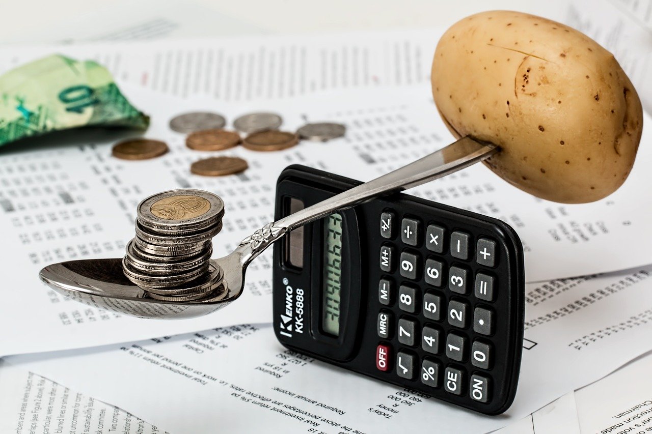 Budget Overview