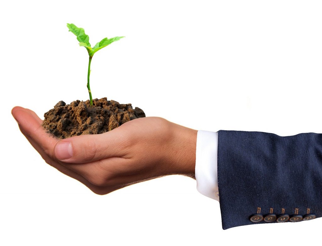 Growing your business without borrowing